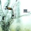 Recoil - Liquid: Album-Cover