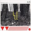 Super_Collider - Raw Digits: Album-Cover
