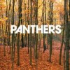 Panthers - Things Are Strange: Album-Cover