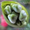 Fiona Apple - Extraordinary Machine: Album-Cover