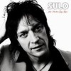Sulo - Just Another Guy Tryin: Album-Cover