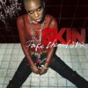 Skin - Fake Chemical State: Album-Cover