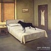 Beef Terminal - The Isolationist: Album-Cover