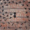Son, Ambulance - Key: Album-Cover