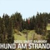 Hund am Strand - Adieu Sweet Bahnhof: Album-Cover