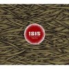 Isis - In The Absence Of Truth: Album-Cover