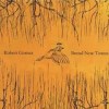 Robert Gomez - Brand New Towns: Album-Cover