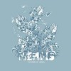 Memfis - The Wind-Up: Album-Cover