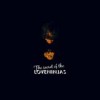 Loveninjas - The Secret Of The Loveninjas: Album-Cover