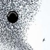 Wilco - Sky Blue Sky
