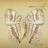 Xavier Rudd - White Moth