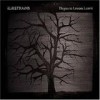 I Like Trains - Elegies To Lessons Learnt: Album-Cover