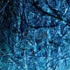 Wolfgang Voigt - Nah und Fern