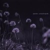 Quantec - Unusual Signals: Album-Cover