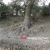 Shed - Shedding The Past: Album-Cover