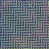 Animal Collective - Merriweather Post Pavilion: Album-Cover