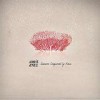 Amit Erez - Summer Conquered By Rain: Album-Cover
