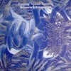 Planetary Assault Systems - Temporary Suspension: Album-Cover