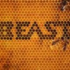 Beast - Beast: Album-Cover