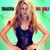 Shakira - She Wolf