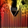 Vitalic - Flashmob: Album-Cover