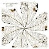 The Pineapple Thief - 3000 Days