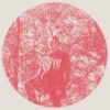 Owen Pallett - Heartland: Album-Cover