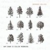 Nervous Nellie - Why Dawn Is Called Mourning: Album-Cover