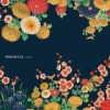 Pier Bucci - Amigo: Album-Cover