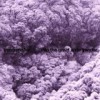 Trentemøller - Into The Great Wide Yonder: Album-Cover