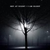 I Am Kloot - Sky At Night: Album-Cover