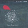 Alin Coen Band - Wer Bist Du?: Album-Cover