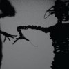 Twilight Singers - Dynamite Steps: Album-Cover