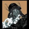 The Joy Formidable - The Big Roar: Album-Cover