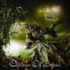 Children Of Bodom - Relentless Reckless Forever