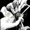 The Stories - Vainforest: Album-Cover