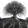 Helhorse - For Wolves And Vultures: Album-Cover