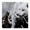 Casper - XOXO