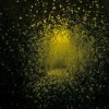The Antlers - Burst Apart: Album-Cover
