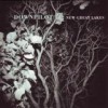 Downpilot - New Great Lakes: Album-Cover