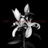 Sport - Aus der Asche, aus dem Staub: Album-Cover