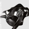 Skeleton Key - Gravity Is The Enemy: Album-Cover