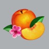 Phoenix - Bankrupt!: Album-Cover