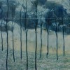 Camera Obscura - Desire Lines: Album-Cover