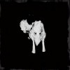 Sigur Rós - Kveikur