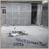 Cäthe - Verschollenes Tier: Album-Cover