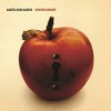 Ages And Ages - Divisionary: Album-Cover