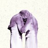 The Antlers - Familiars: Album-Cover