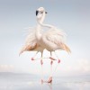 Rustie - Green Language: Album-Cover