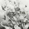 Mono - The Last Dawn / Rays of Darkness